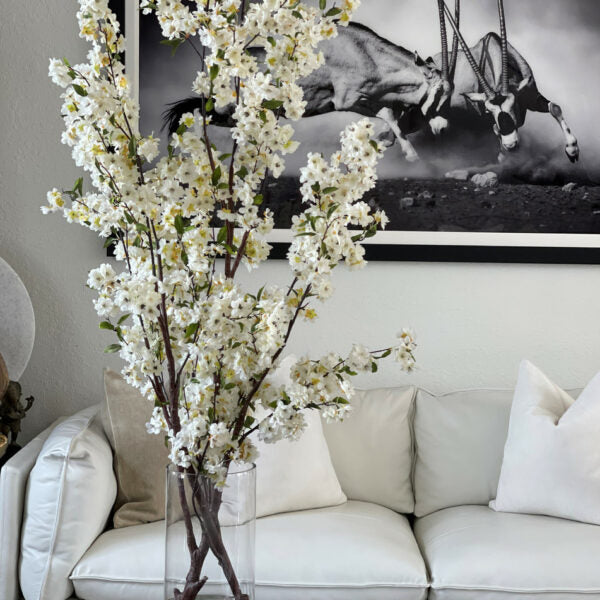 Cherry blossoms in a 16-inch glass cylinder