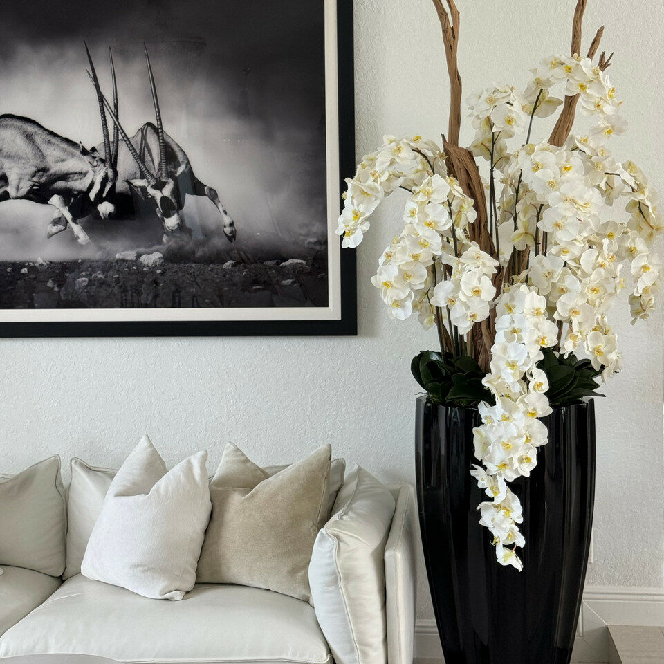 Glossy black San José vase with white orchid cascade