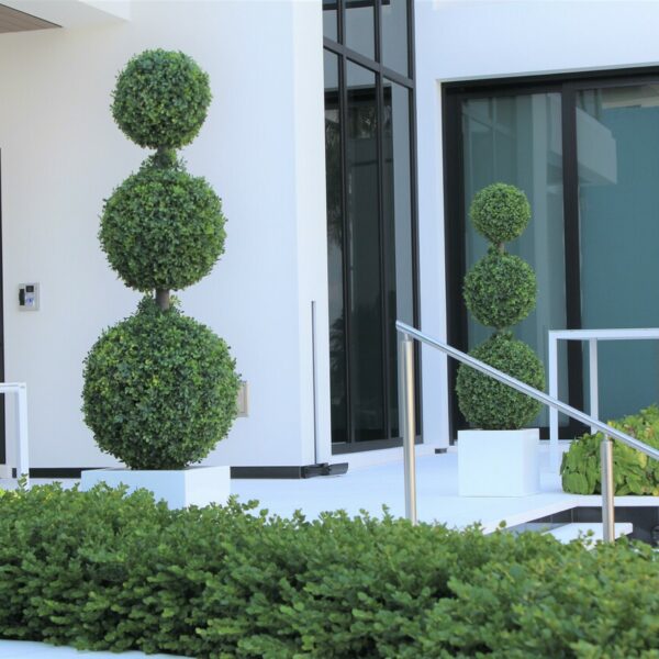 Three-ball topiary with medium-sized fiberglass pot