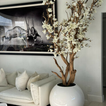 White Magnolia in 30″ glossy white ball pot