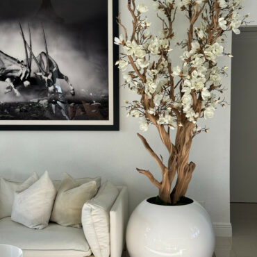 White Magnolia in 30″ glossy white ball pot